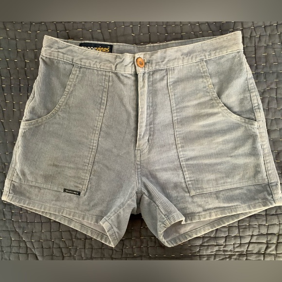 Grapevines Powder Blue Corduroy Shorts - Picture 1 of 3